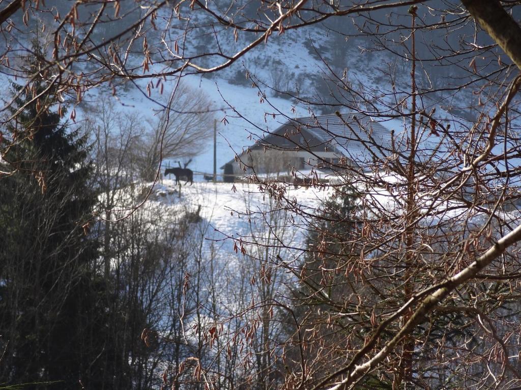 Ferme auberge à la colline Ferdrupt Exterior foto