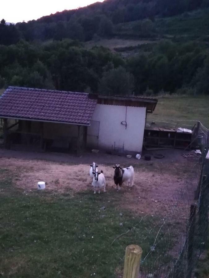 Ferme auberge à la colline Ferdrupt Exterior foto